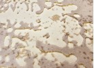 Тъкан килим ALLEGRA 8978 cream