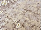 Тъкана пътека ALLEGRA 920 beige