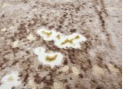 Тъкана пътека ALLEGRA 920 beige