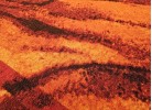 Мокетен килим 89 orange