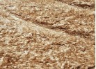 Тъкан килим 3D SHAGGY GRANDE 323 camel