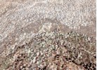 Тъкан килим SUPERSOFT 622 beige/taupe