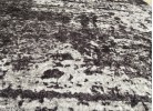 Пътека GALLANT 65326.101 grey