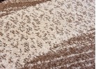 Тъкан килим MAGNOLIA 191 beige