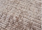 Тъкан килим Флорлукс 20613 taupe