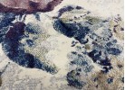 Тъкан килим ARGENTUM СИНЬО-ЛИЛА РОЗИ