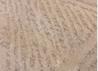 Тъкана пътека FORTE 828 beige