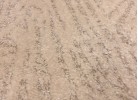 Тъкана пътека FORTE 828 beige