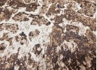 Килим REGAL 7012 d.beige