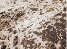 Килим REGAL 7012 beige кръг